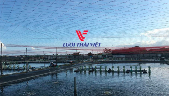 Công ty bán lưới chống côn trùng - Thái Việt