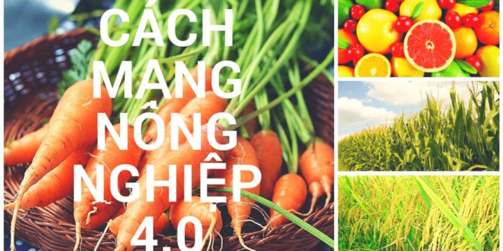 Nông nghiệp 4.0 là gì? Những lợi ích của nông nghiệp công nghệ cao