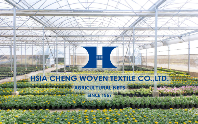 Lịch sử hình thành và phát triển của công ty cung cấp lưới Hsia Cheng