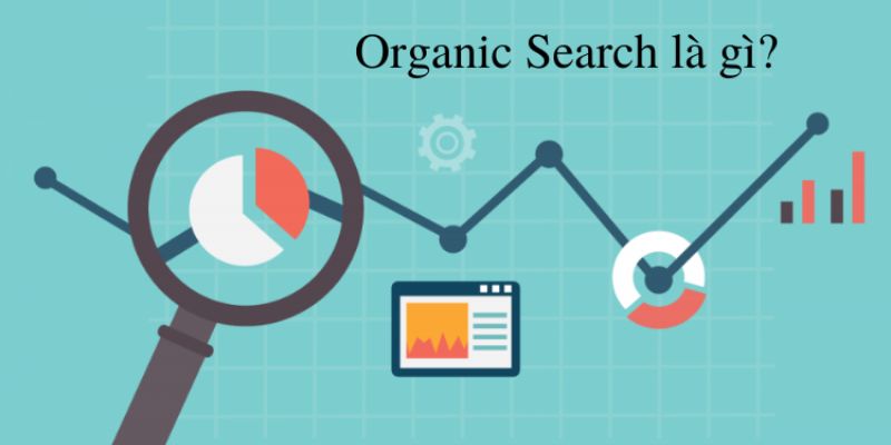 Organic Search là gì?