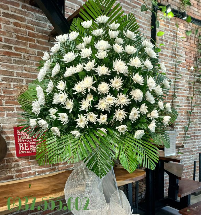 Hoa cúc trắng phù hợp tang lễ