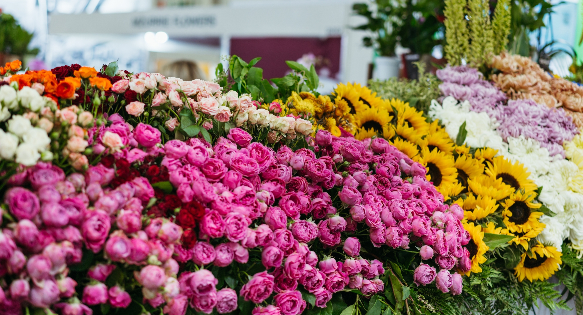 Lý do bạn nên chọn mua hoa tươi tại shop Hoa Của Tui
