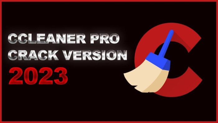 download ccleaner pro full crack 2023