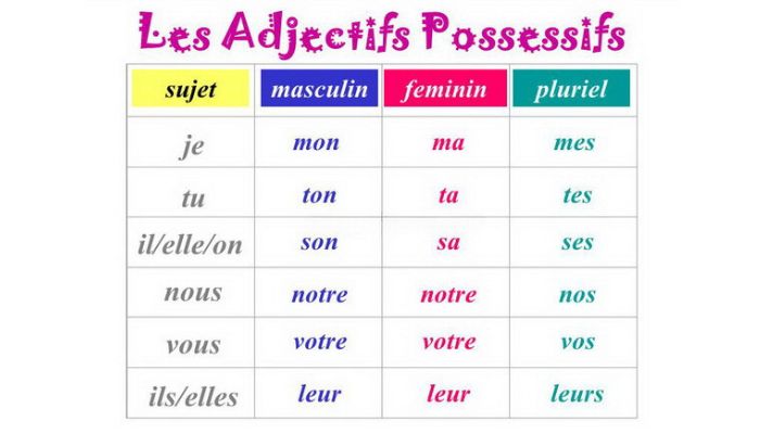 Cách sử dụng tính từ sở hữu trong tiếng Pháp